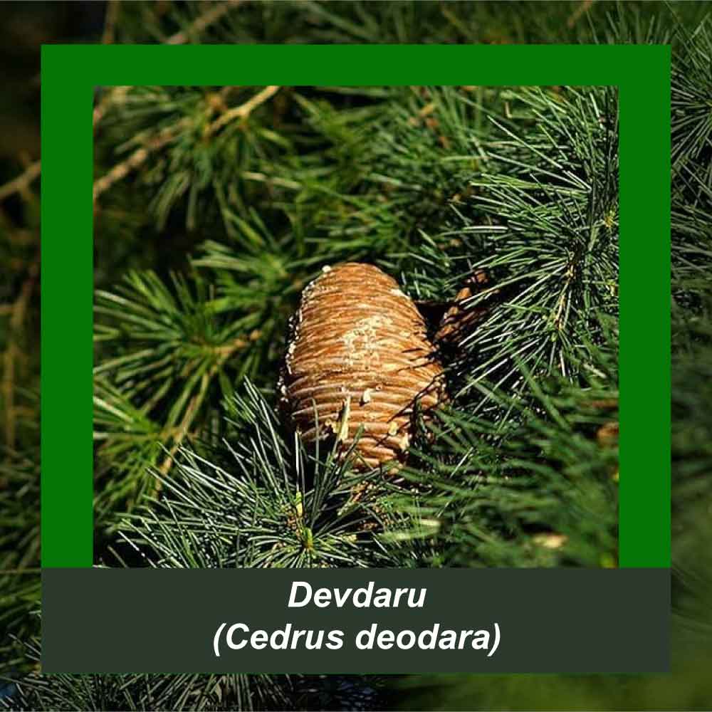 How It’s Made step 1