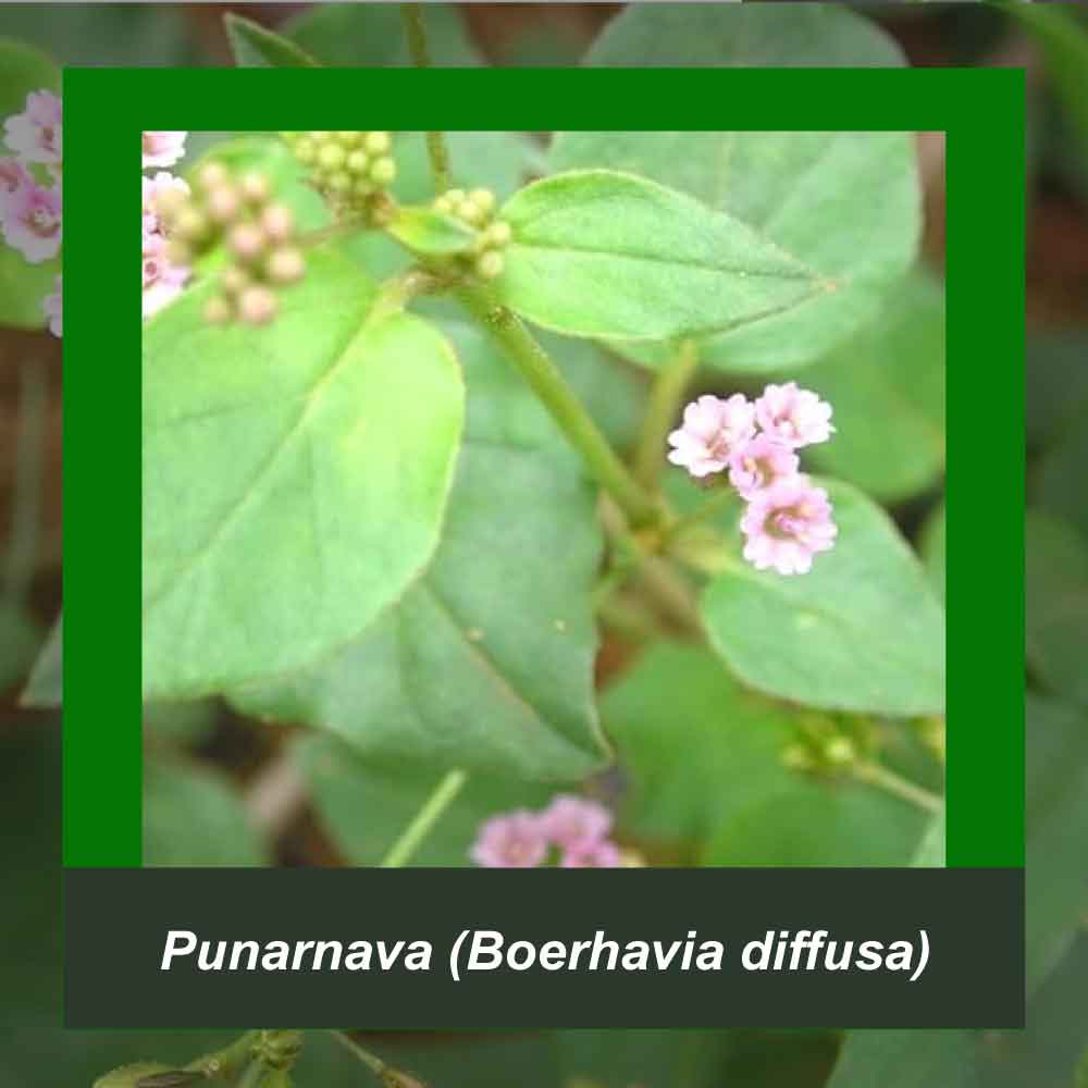 How It’s Made step 1