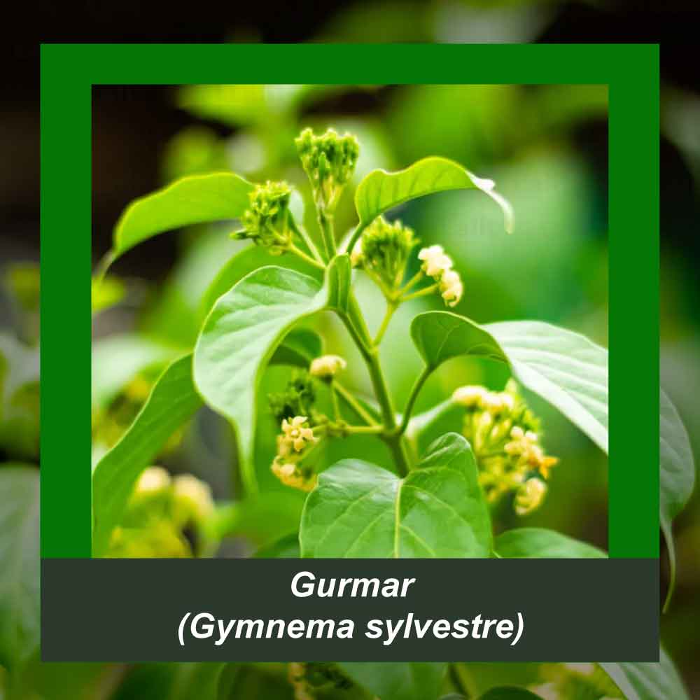 How It’s Made step 1