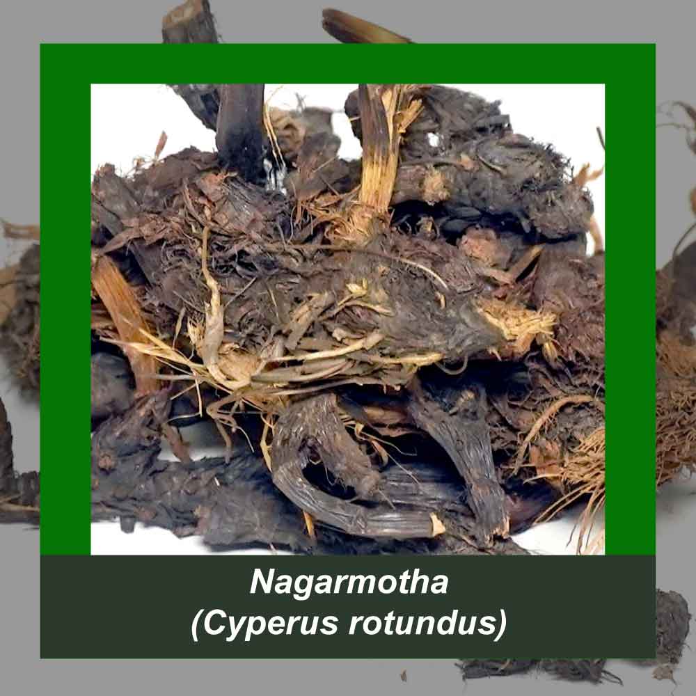 How It’s Made step 2