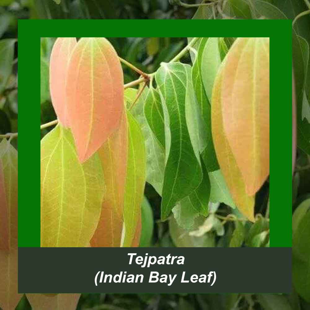 How It’s Made step 3