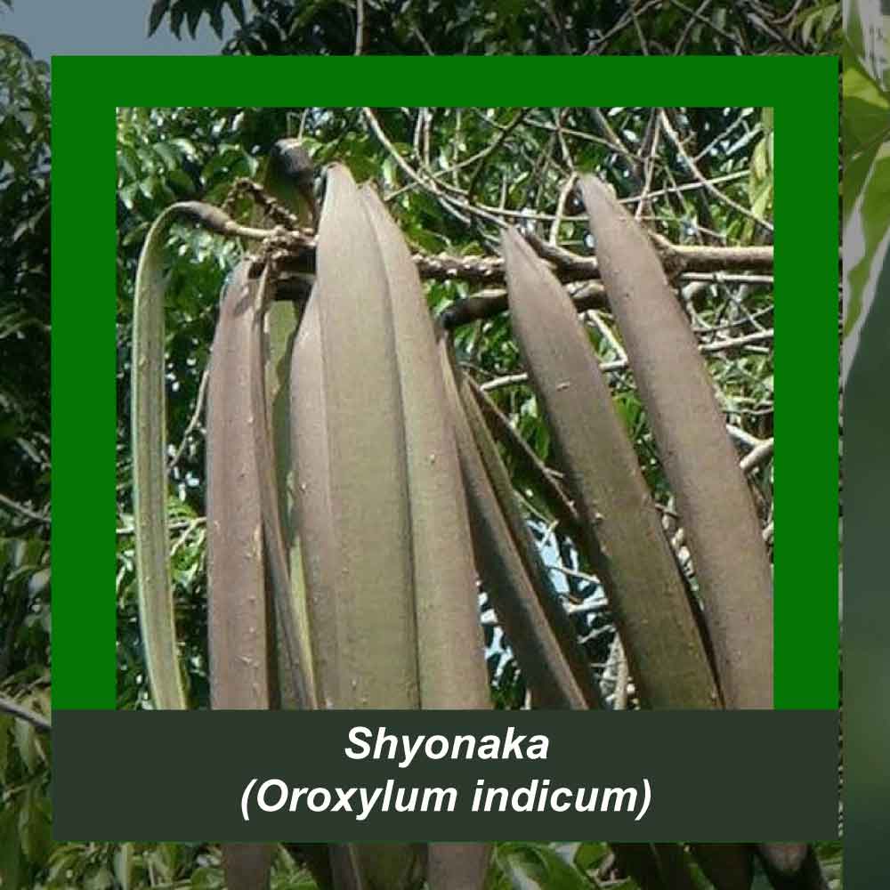 How It’s Made step 3