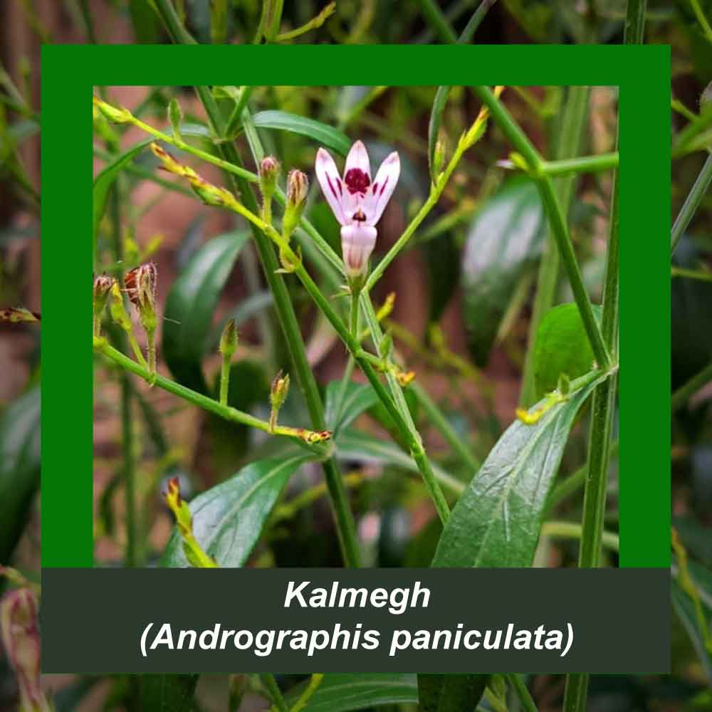 How It’s Made step 3