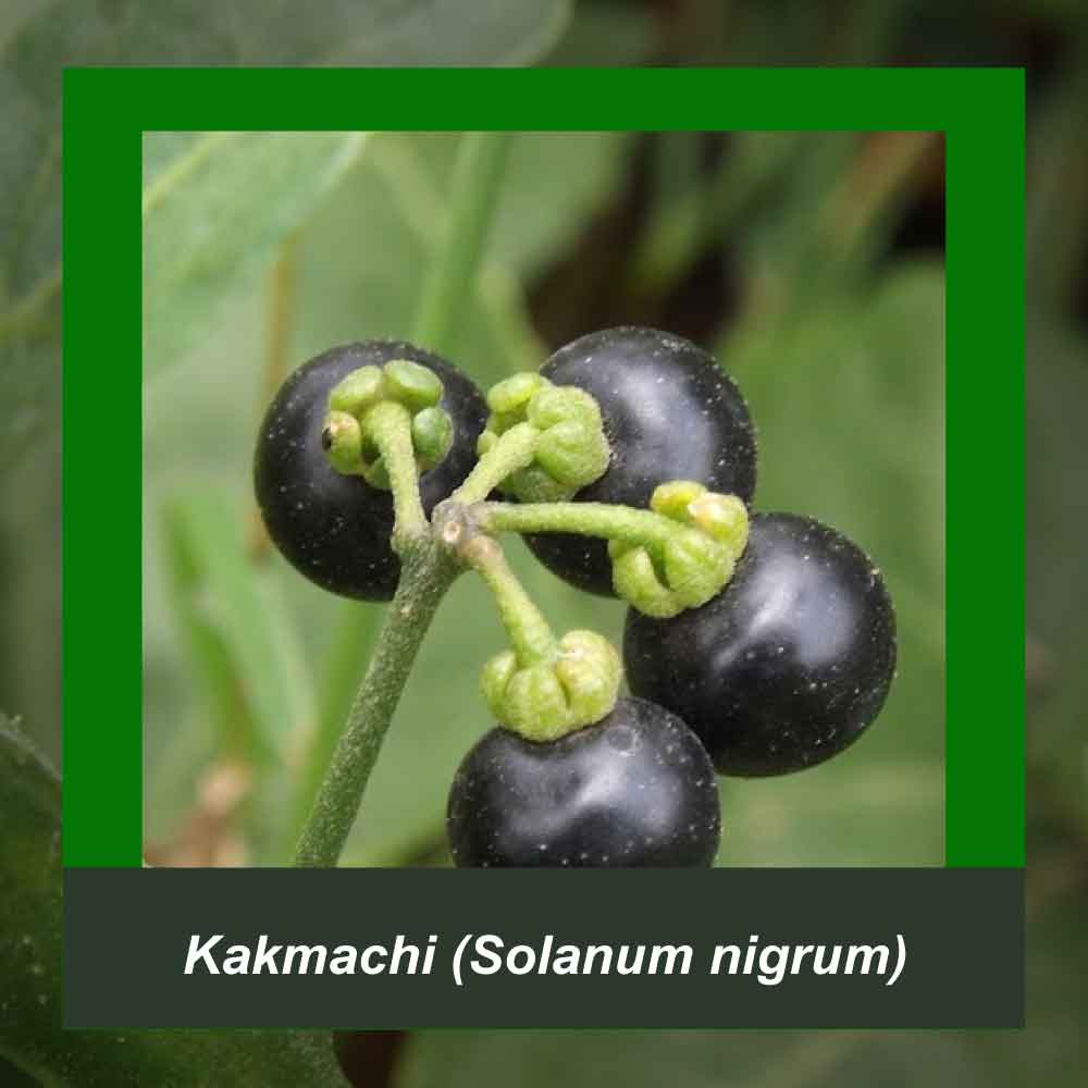 How It’s Made step 4